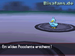 Schnappe dir hier Piccolente Schnappe dir hier Piccolente