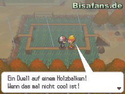 Nutze die Stege um Zufallskämpfe im Gras zu vermeiden Nutze die Stege um Zufallskämpfe im Gras zu vermeiden