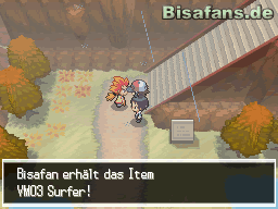 Anschließend erhalten wir von Champ Lauro die VM Surfer Anschließend erhalten wir von Champ Lauro die VM Surfer