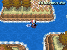 Achte auf Strudel, die seltene Pokémon enthalten können Achte auf Strudel, die seltene Pokémon enthalten können