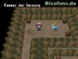 Am Ende der Höhle erwartet uns Kobalium Am Ende der Höhle erwartet uns Kobalium