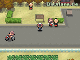 Auf Route 9 sind viele Trainer Auf Route 9 sind viele Trainer