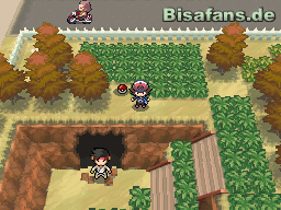 Die Höhle ist leider versperrt Die Höhle ist leider versperrt