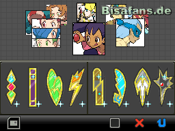 Du besitzt nun alle acht Orden von Einall Du besitzt nun alle acht Orden von Einall