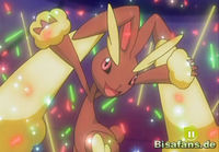 Screenshot  Screenshot