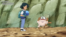 Screenshot aus Pokémon: Blauer Himmel in der Ferne! Screenshot aus Pokémon: Blauer Himmel in der Ferne!