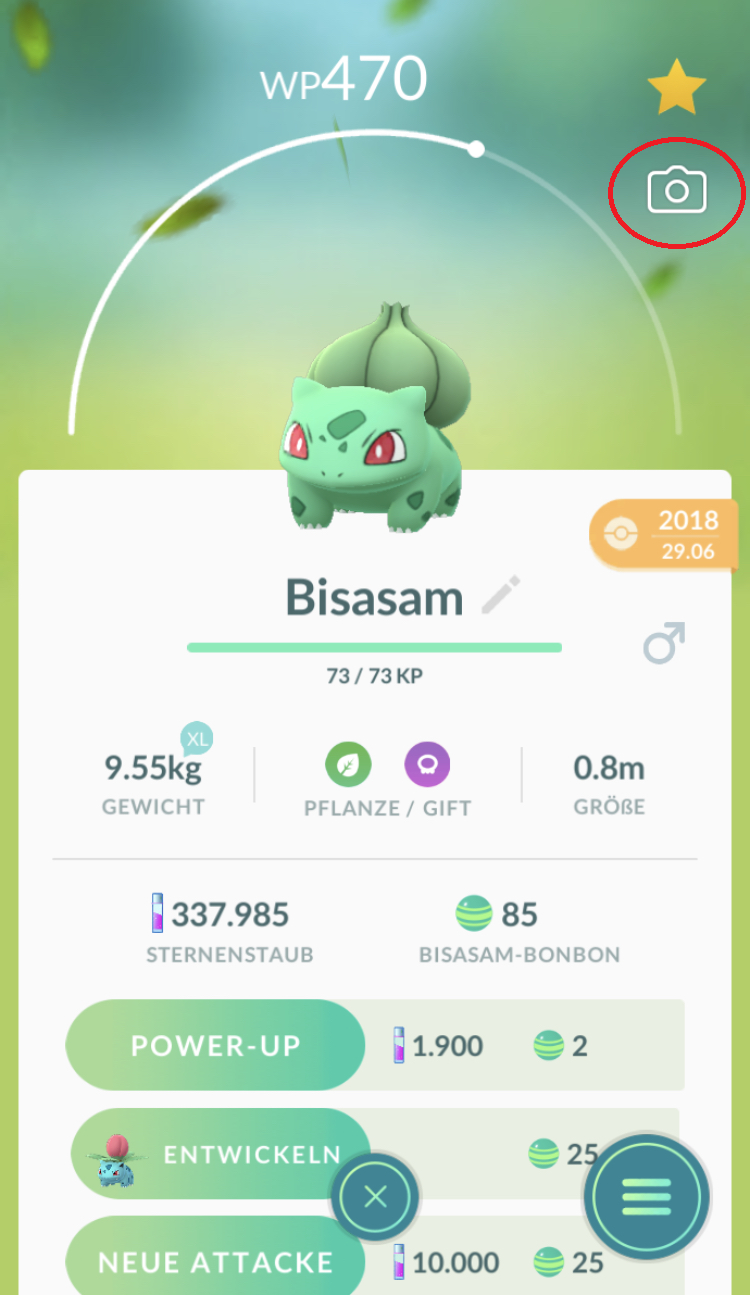 GO-Schnappschuss GO-Schnappschuss