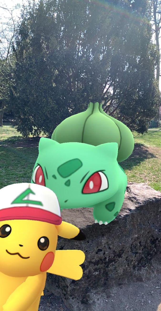 GO-Schnappschuss GO-Schnappschuss