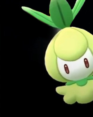 GO-Schnappschuss GO-Schnappschuss