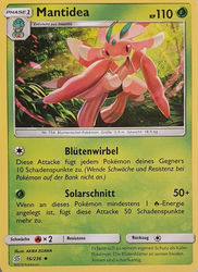 Bund der Gleichgesinnten 16/236 Mantidea