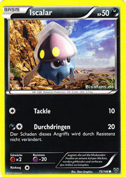 XY-Basisset 75/146 Iscalar