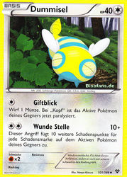 XY-Basisset 101/146 Dummisel