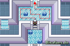 Arena Arena