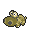 Hippopotas ♀ (schillernd)