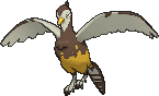 Fasasnob ♀ (schillernd)