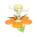 Flabébé Orangeblütler (schillernd)