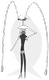 795.png
