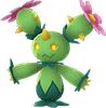 Maractus Normal