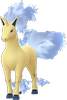 Rapidash Shiny