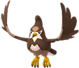 Staravia Shiny